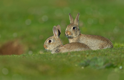 photo by Oliver Smart